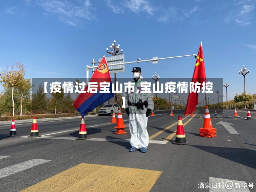 【疫情过后宝山市,宝山疫情防控】-第1张图片
