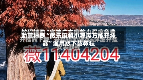 助赢神器“微乐麻将小程序万能开挂器”通用版下载教程-第2张图片
