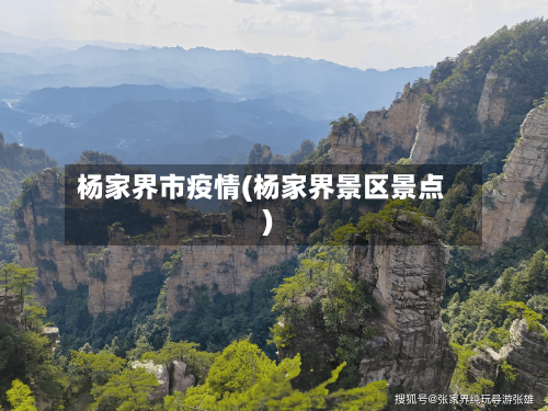 杨家界市疫情(杨家界景区景点)-第2张图片
