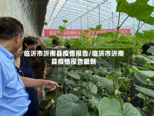 临沂市沂南县疫情报告/临沂市沂南县疫情报告最新-第3张图片