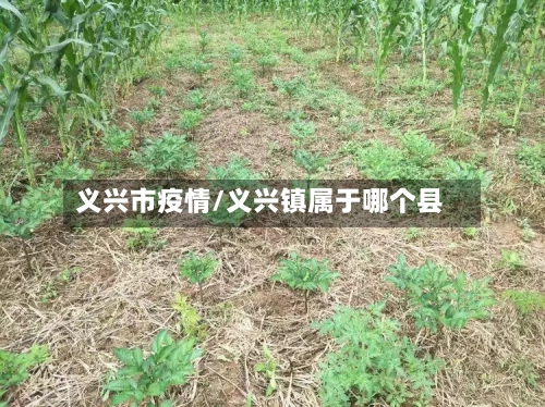 义兴市疫情/义兴镇属于哪个县-第2张图片