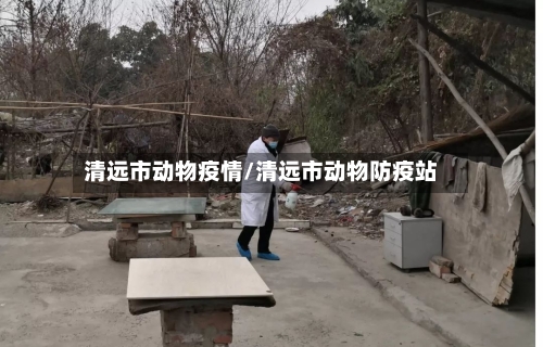 清远市动物疫情/清远市动物防疫站-第3张图片