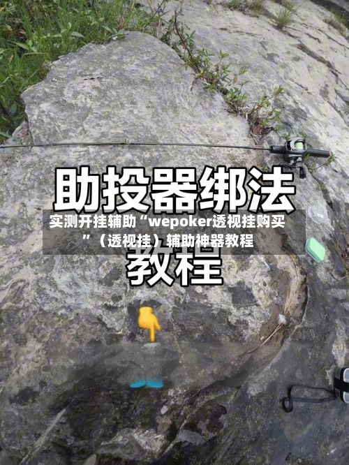 实测开挂辅助“wepoker透视挂购买”（透视挂）辅助神器教程-第1张图片
