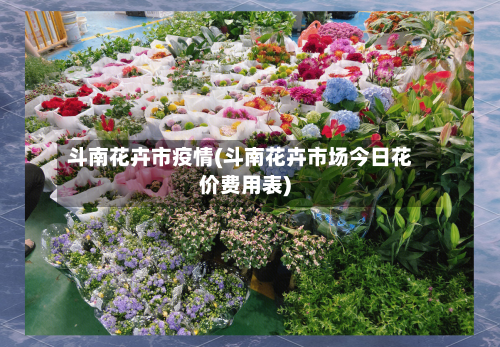 斗南花卉市疫情(斗南花卉市场今日花价费用表)-第3张图片
