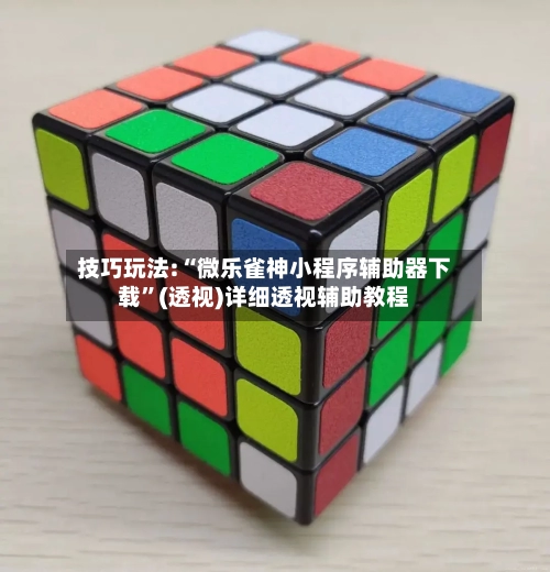 技巧玩法:“微乐雀神小程序辅助器下载”(透视)详细透视辅助教程-第1张图片