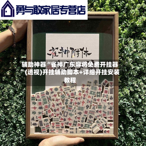 辅助神器“雀神广东麻将免费开挂器	”(透视)开挂辅助脚本+详细开挂安装教程-第2张图片