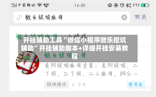 开挂辅助工具“微信小程序微乐挖坑辅助”开挂辅助脚本+详细开挂安装教程-第2张图片