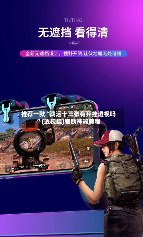 推荐一款“鸿运十三张有开挂透视吗”(透视挂)辅助神器教程-第1张图片