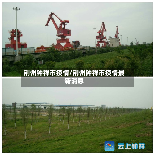 荆州钟祥市疫情/荆州钟祥市疫情最新消息-第2张图片