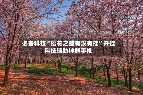 必备科技“樱花之盛有没有挂	”开挂科技辅助神器手机-第3张图片