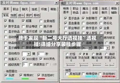 终于发现“新二号大厅透视挂”透视挂!详细分享装挂步骤-第2张图片