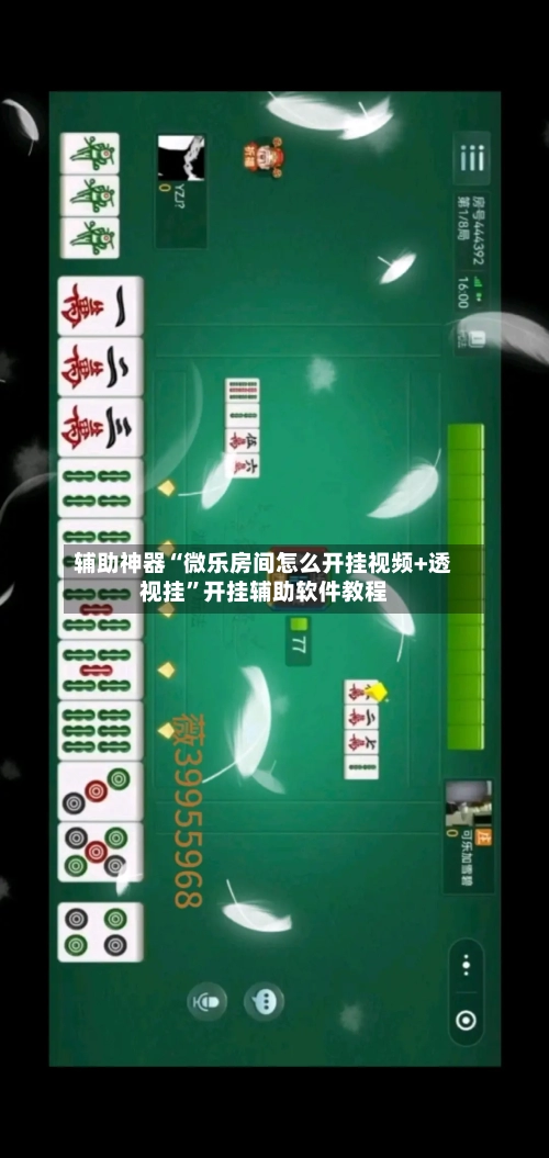 辅助神器“微乐房间怎么开挂视频+透视挂”开挂辅助软件教程-第2张图片