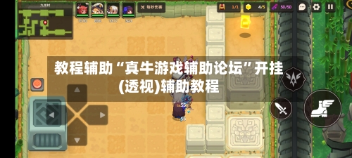 教程辅助“真牛游戏辅助论坛	”开挂(透视)辅助教程-第2张图片