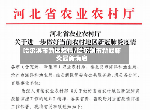 哈尔滨市新区疫情/哈尔滨市新冠肺炎最新消息-第1张图片