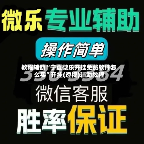教程辅助“宁夏微乐开挂免费软件怎么买	”开挂(透视)辅助教程-第2张图片