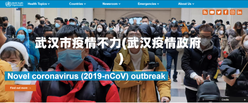 武汉市疫情不力(武汉疫情政府)-第1张图片