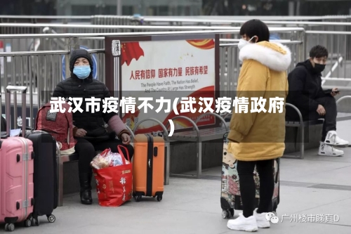 武汉市疫情不力(武汉疫情政府)-第2张图片