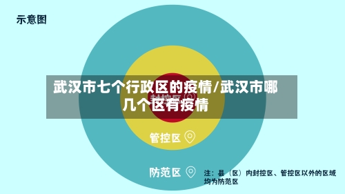 武汉市七个行政区的疫情/武汉市哪几个区有疫情-第1张图片