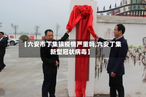 【六安市丁集镇疫情严重吗,六安丁集新型冠状病毒】-第3张图片