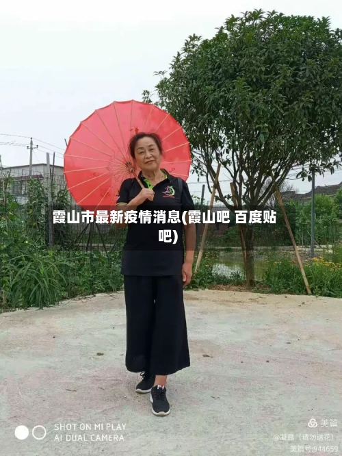 霞山市最新疫情消息(霞山吧 百度贴吧)-第2张图片