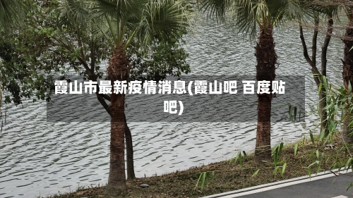霞山市最新疫情消息(霞山吧 百度贴吧)-第3张图片