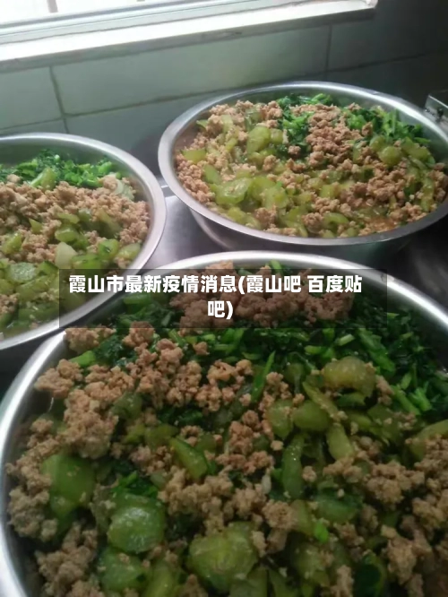 霞山市最新疫情消息(霞山吧 百度贴吧)-第1张图片