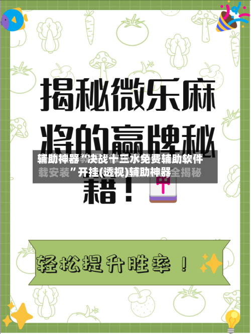 辅助神器“决战十三水免费辅助软件”开挂(透视)辅助神器-第1张图片