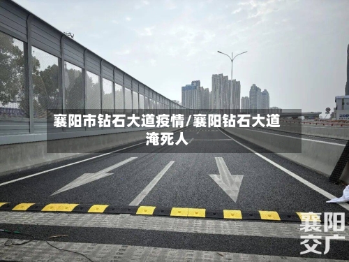 襄阳市钻石大道疫情/襄阳钻石大道淹死人-第2张图片