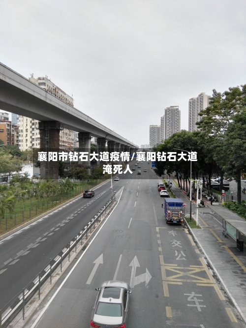 襄阳市钻石大道疫情/襄阳钻石大道淹死人-第1张图片