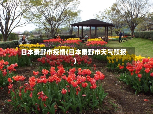 日本秦野市疫情(日本秦野市天气预报)-第1张图片