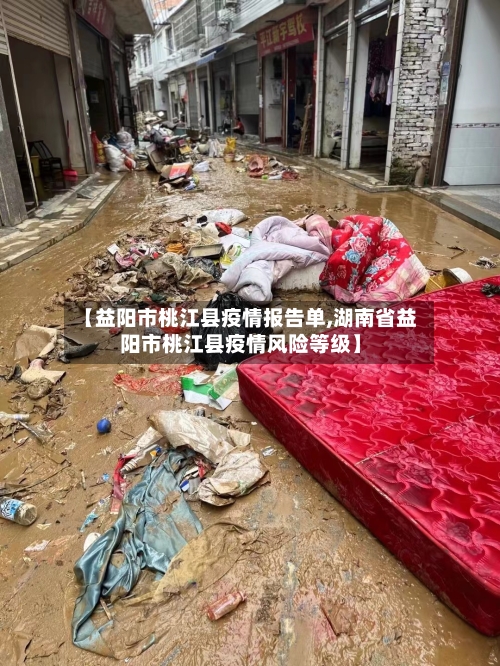 【益阳市桃江县疫情报告单,湖南省益阳市桃江县疫情风险等级】-第1张图片