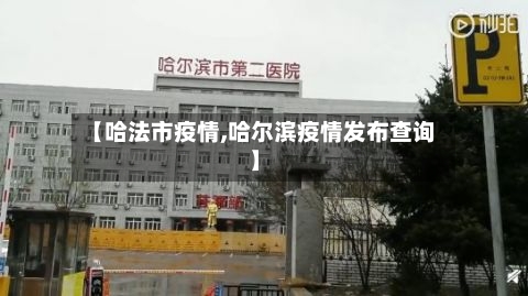 【哈法市疫情,哈尔滨疫情发布查询】-第1张图片