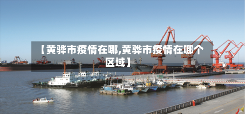【黄骅市疫情在哪,黄骅市疫情在哪个区域】-第3张图片