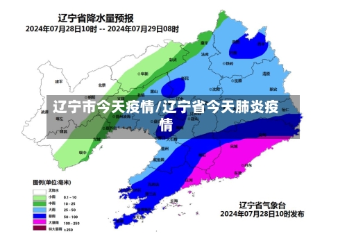 辽宁市今天疫情/辽宁省今天肺炎疫情-第3张图片