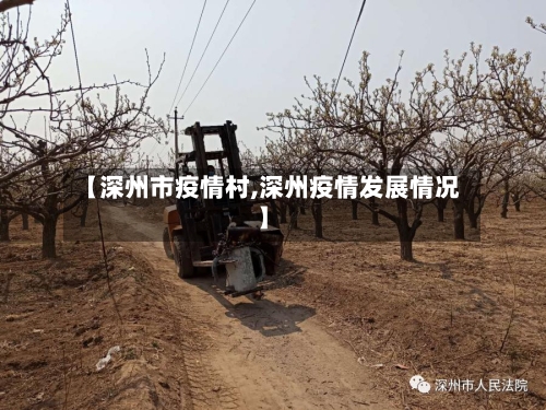 【深州市疫情村,深州疫情发展情况】-第2张图片