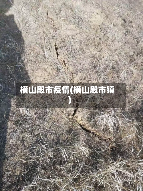 横山殿市疫情(横山殿市镇)-第2张图片