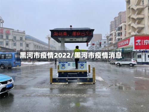 黑河市疫情2022/黑河市疫情消息-第2张图片