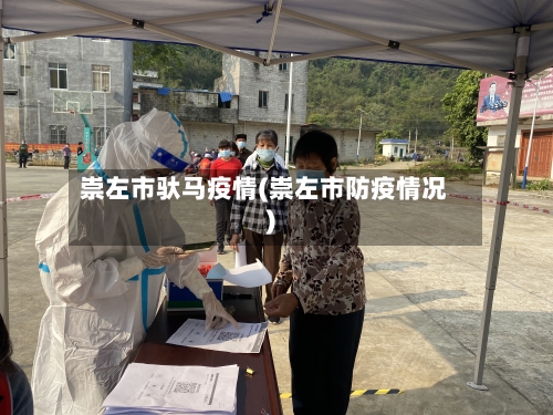 崇左市驮马疫情(崇左市防疫情况)-第1张图片