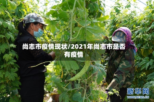 尚志市疫情现状/2021年尚志市是否有疫情-第1张图片