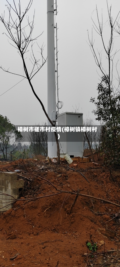 樟树市槎市村疫情(樟树镇樟树村)-第1张图片
