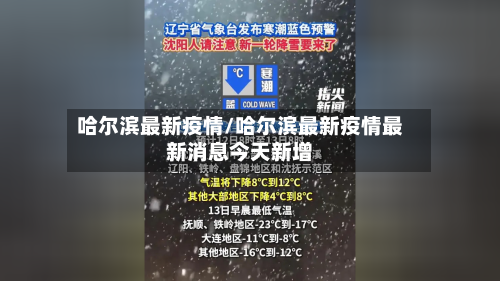 哈尔滨最新疫情/哈尔滨最新疫情最新消息今天新增-第3张图片