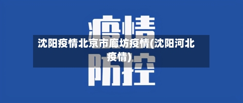 沈阳疫情北京市廊坊疫情(沈阳河北疫情)-第2张图片