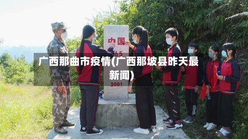 广西那曲市疫情(广西那坡县昨天最新闻)-第3张图片