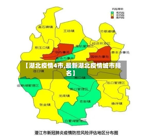 【湖北疫情4市,最新湖北疫情城市排名】-第3张图片