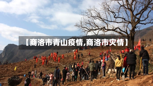 【商洛市青山疫情,商洛市灾情】-第2张图片
