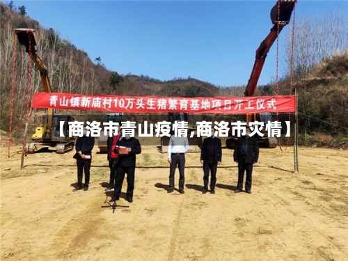 【商洛市青山疫情,商洛市灾情】-第3张图片