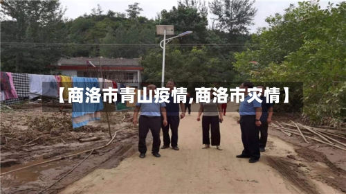【商洛市青山疫情,商洛市灾情】-第1张图片
