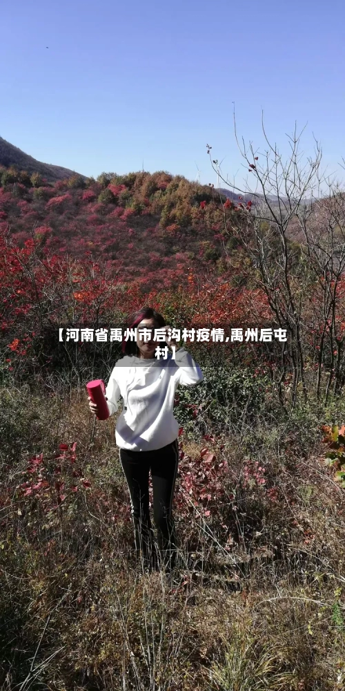 【河南省禹州市后沟村疫情,禹州后屯村】-第3张图片