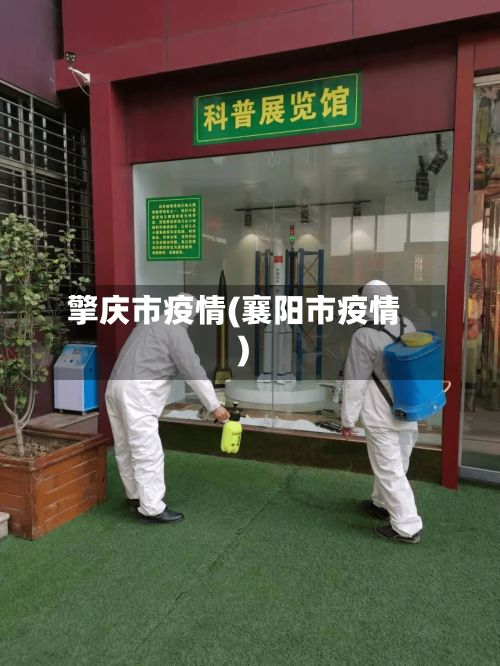 擎庆市疫情(襄阳市疫情)-第2张图片