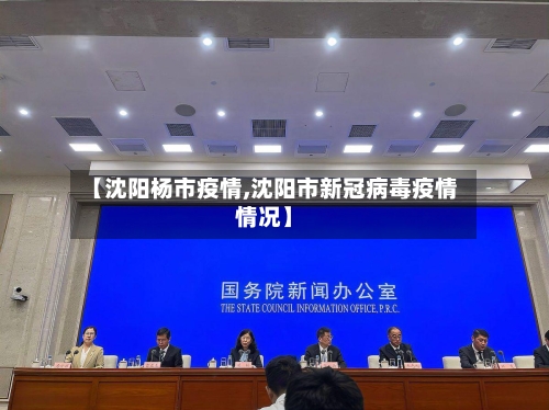 【沈阳杨市疫情,沈阳市新冠病毒疫情情况】-第2张图片